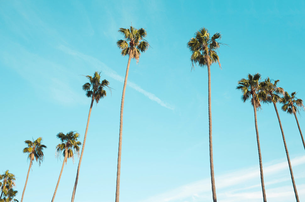Sitting Pretty Travel: The Ultimate Guide To LA