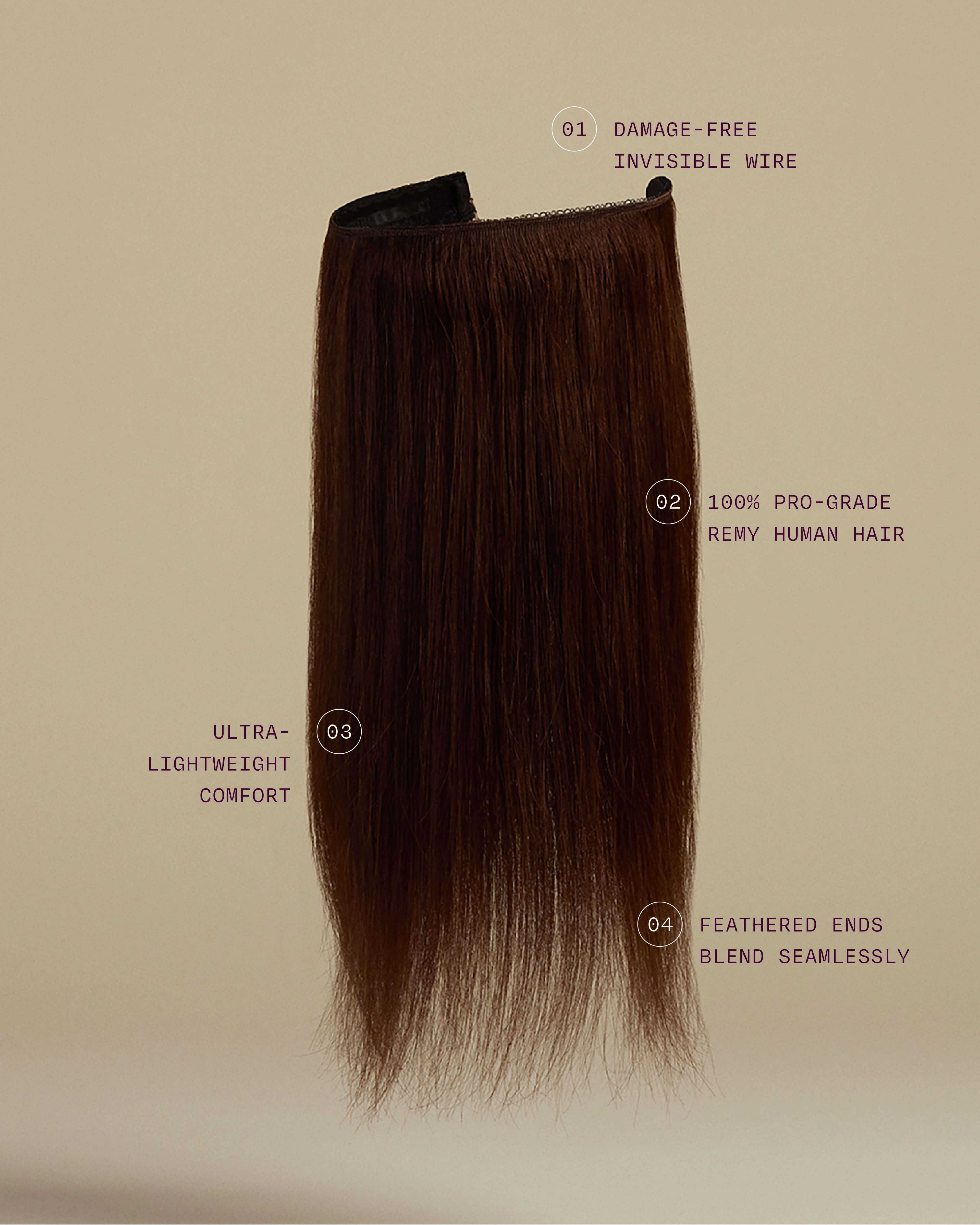 Infographic for desktop