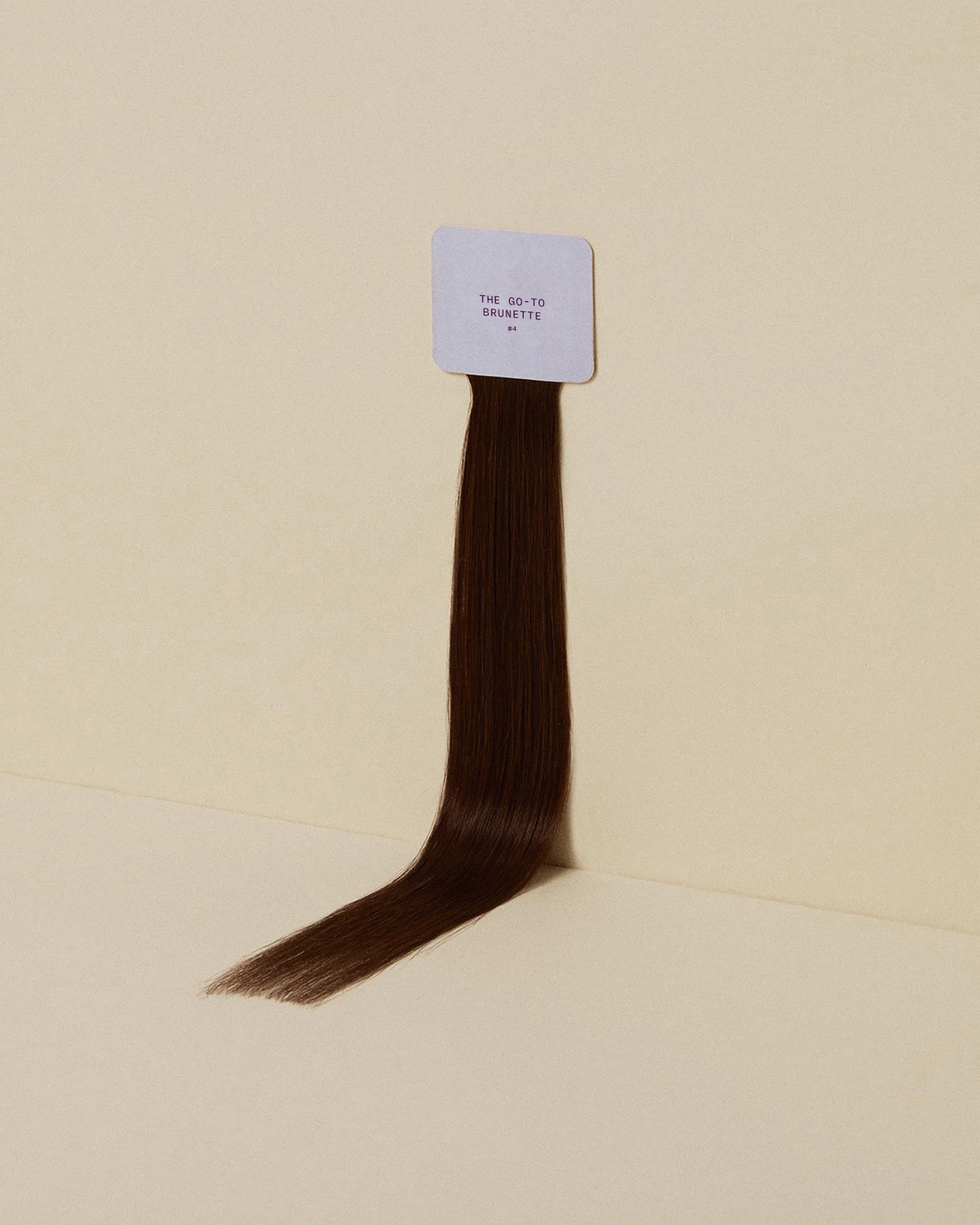 The Go-to Brunette #4 Swatch