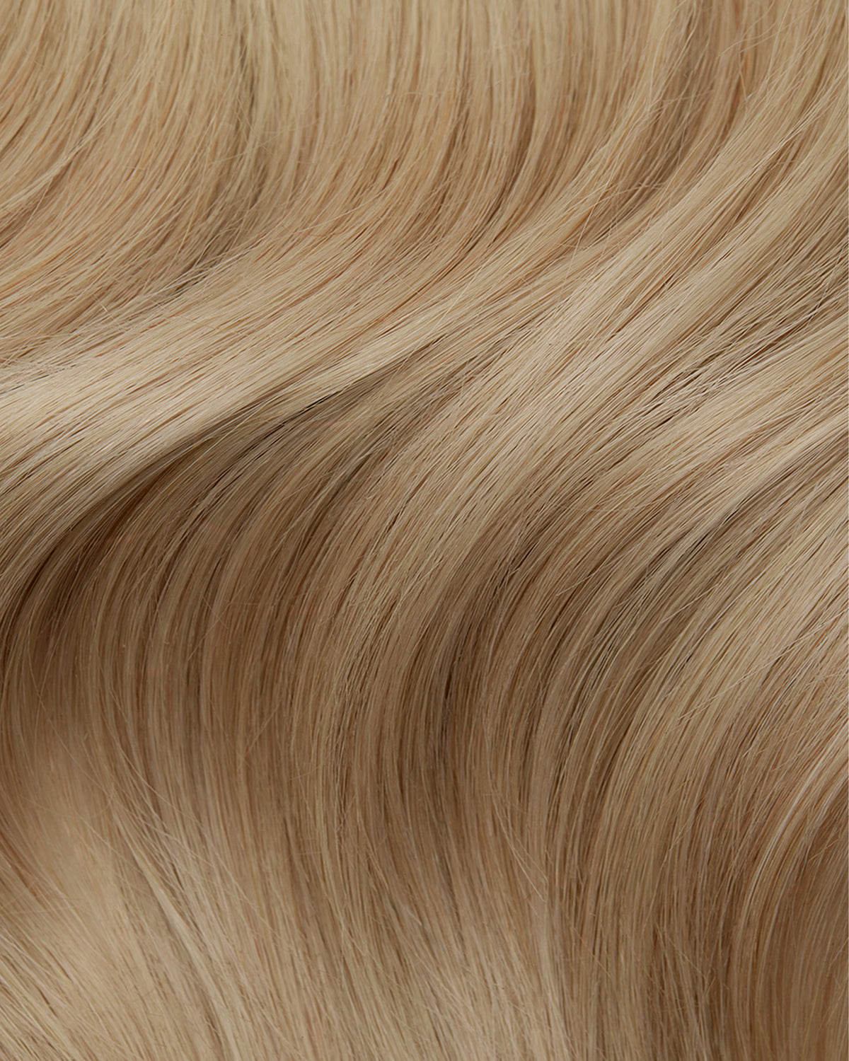 Ash Blonde #18 Swatch