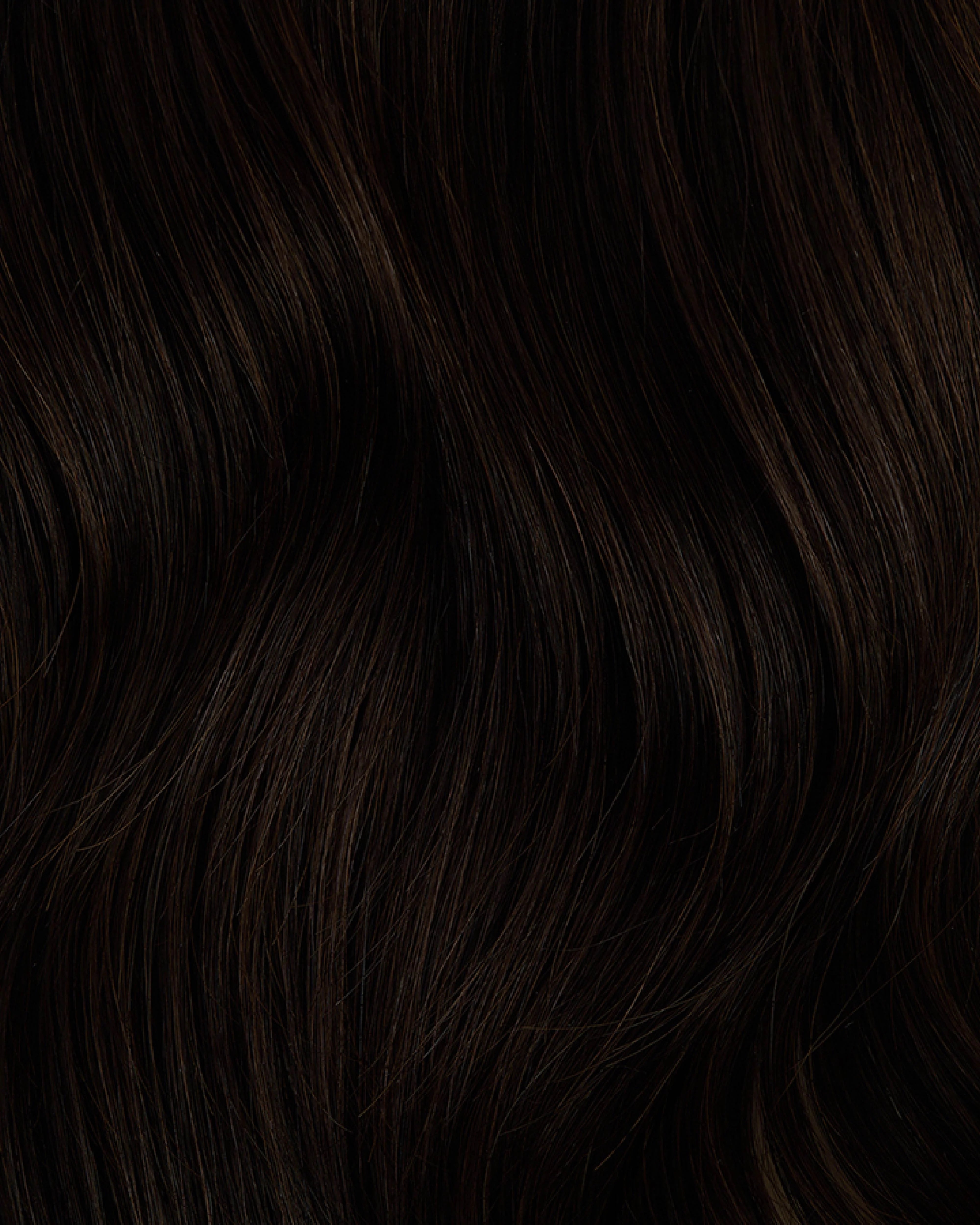 Rich Chocolate Brown #2 Halo