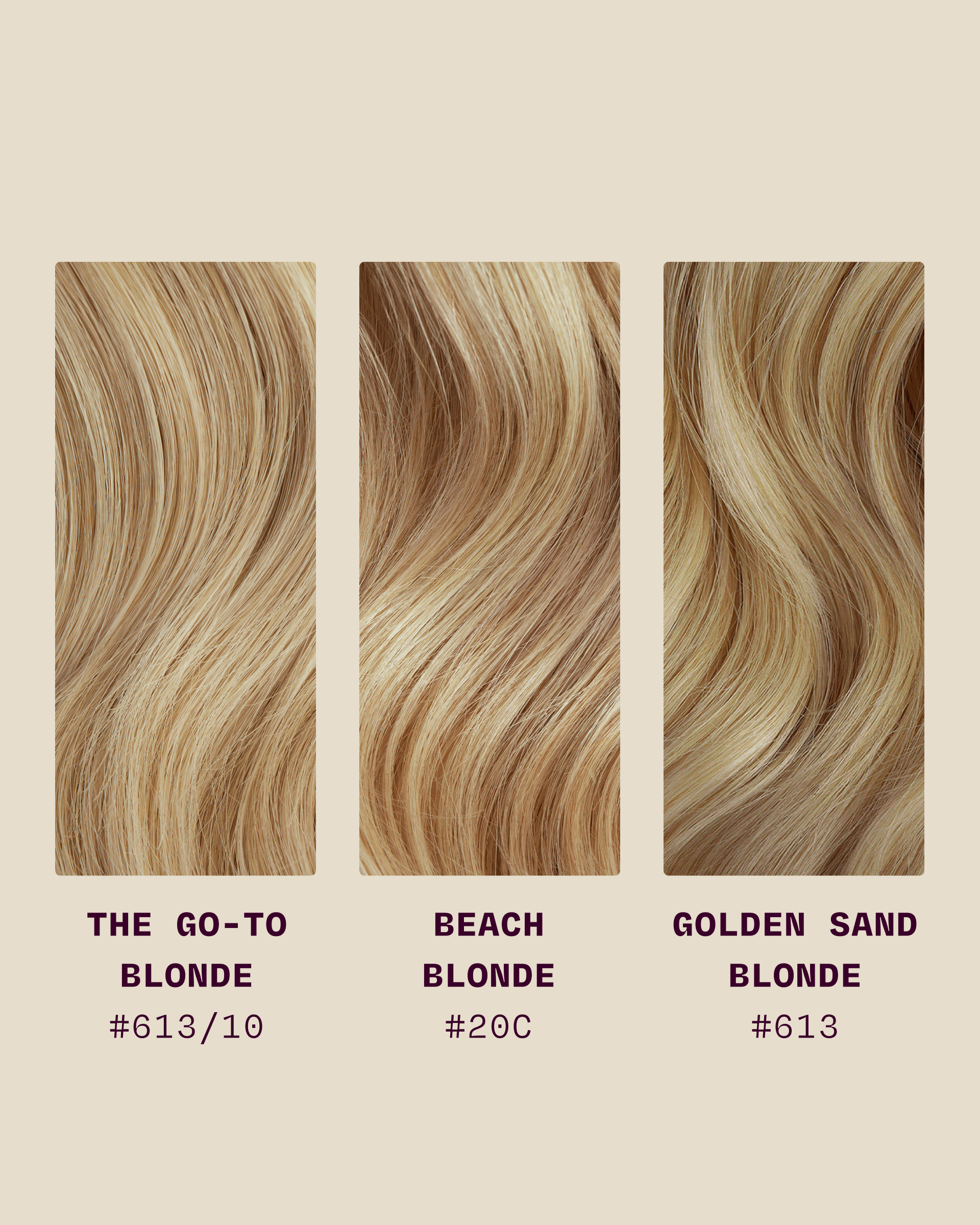 Hair Color Swatch Set (3 Shades)