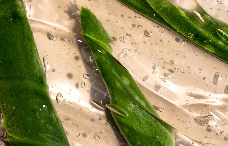 flat lay of aloe vera used for hair regrowth