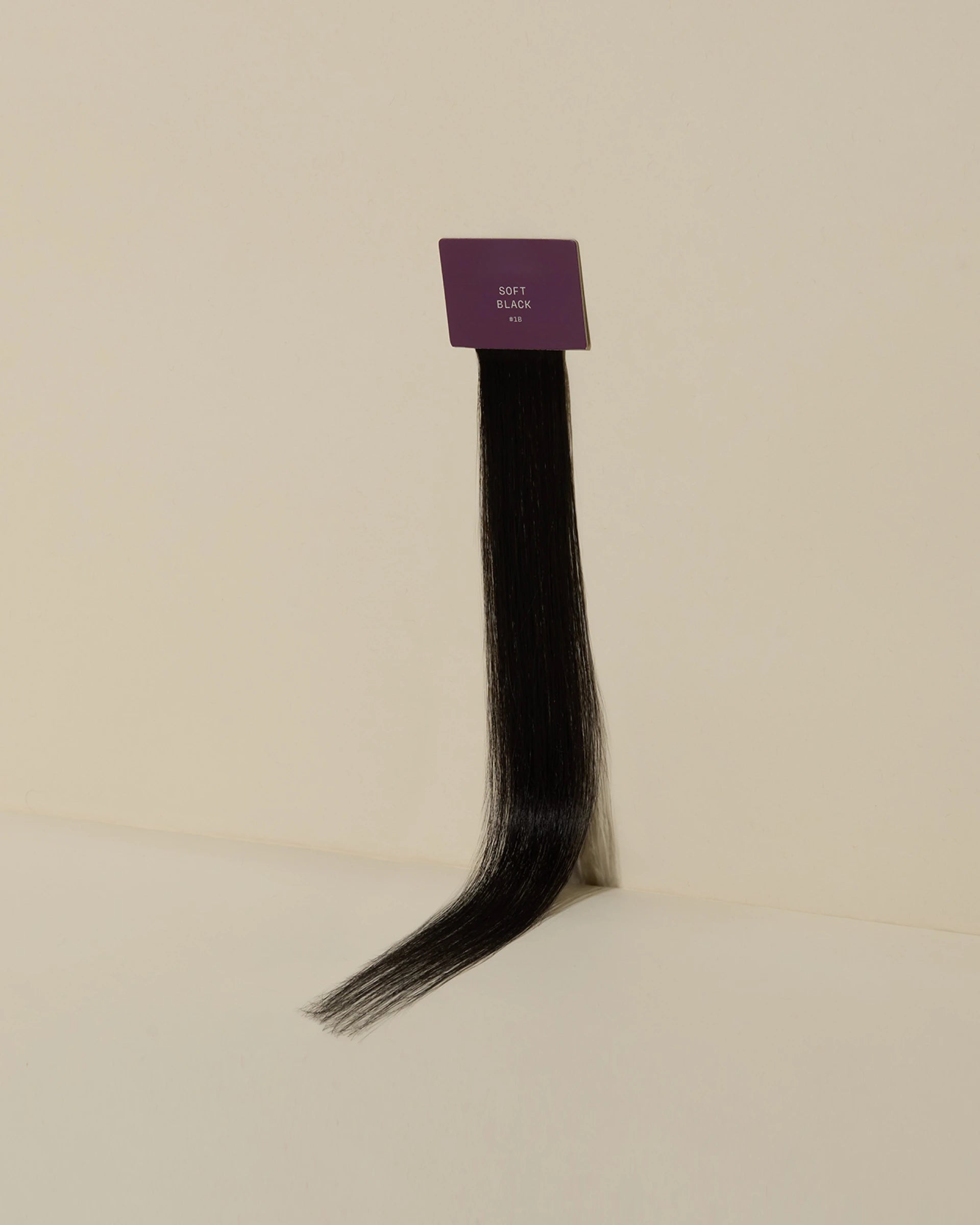 Soft Black #1B Swatch