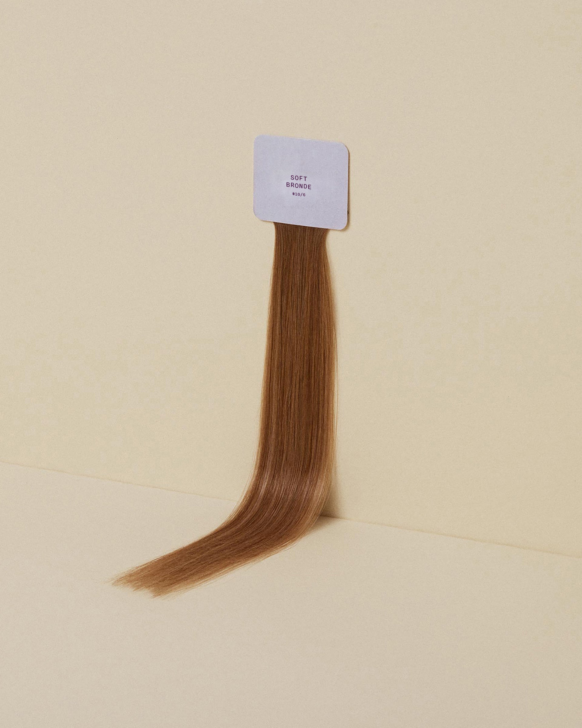 Soft Bronde #10/6 Swatch