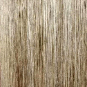 Beige Blonde + Dark Blonde #613/10